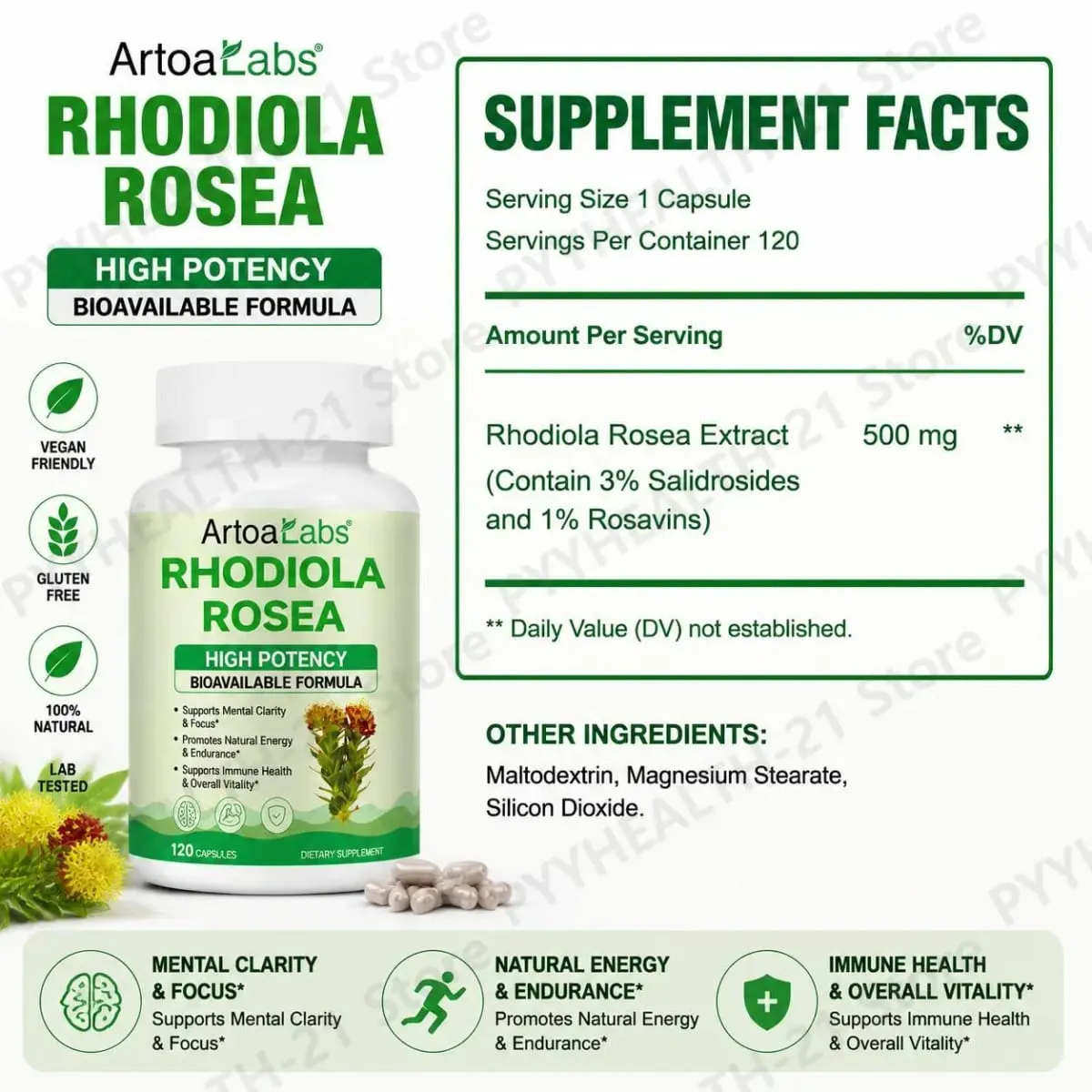 ArtoaLabs Rhodiola Rosea 500mg Capsules High Potency Supports Mental Clarity Focus Natural Energy Endurance 120 Vegan Capsules