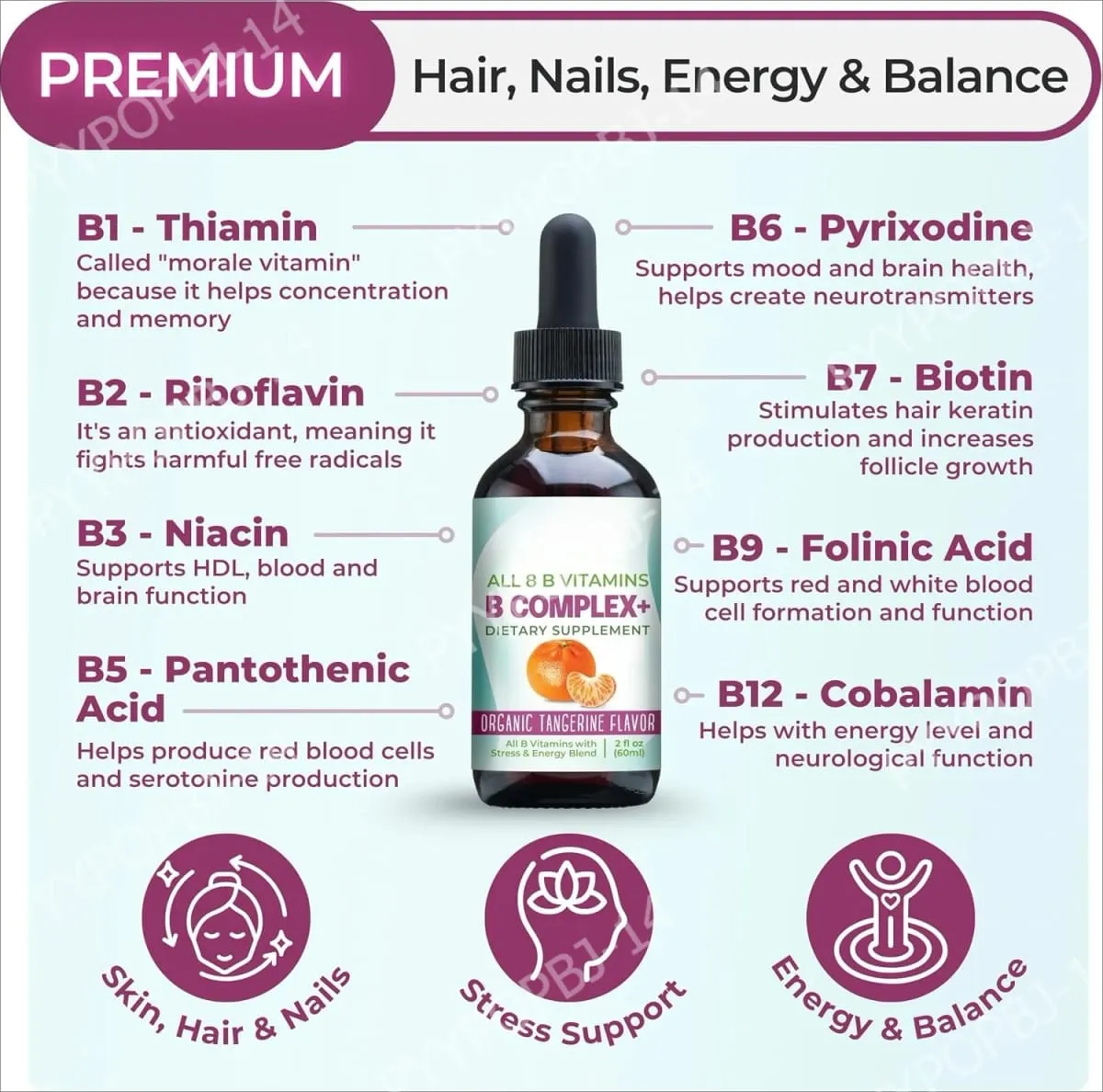 Vitamin B Complex Liquid Drops Supplement Vegan B1 B2 B3 B5 B6 Biotin Folate and Choline Plus Blend for Energy Support 60ml