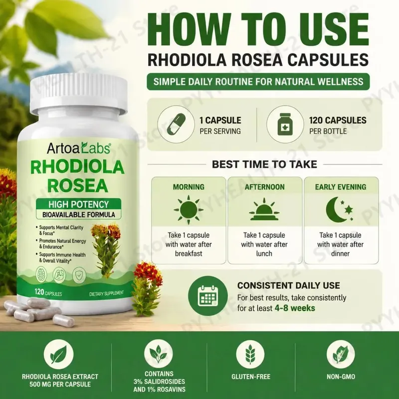 ArtoaLabs Rhodiola Rosea 500mg Capsules High Potency Supports Mental Clarity Focus Natural Energy Endurance 120 Vegan Capsules