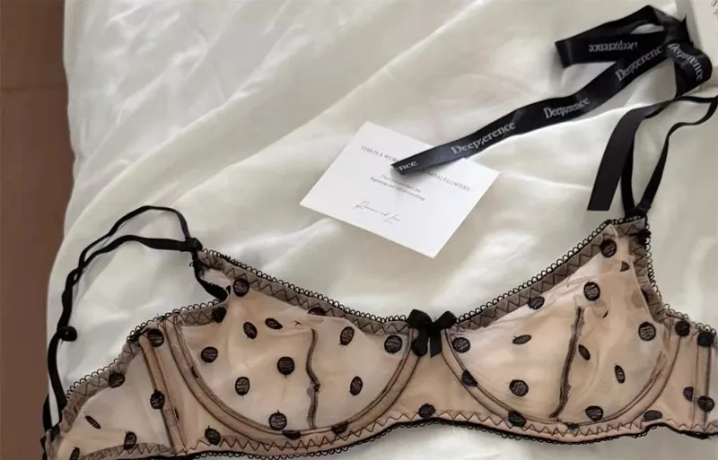 French Retro Lace Bra & Thong Set | Sexy Polka Dot Sheer Mesh Lingerie for Plus Size Big Bust Ultra Thin MOYISU Panty TUSHY Set