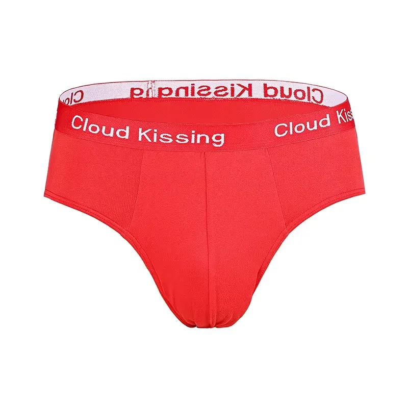4Pcs/Lot Summer Men's Triangle Pants Plus Size Men's Underwear Sexy Boy Comfortable Solid Underpants Fungi-Proofing Men Panties