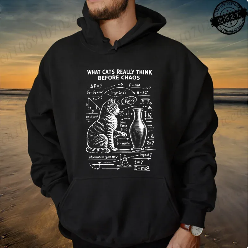 Funny Cat Physics Design Hoodies Math Science Humor Cat Print Sweatshirt Personalized Men Women Casual Streetwear Fashion Hoodie