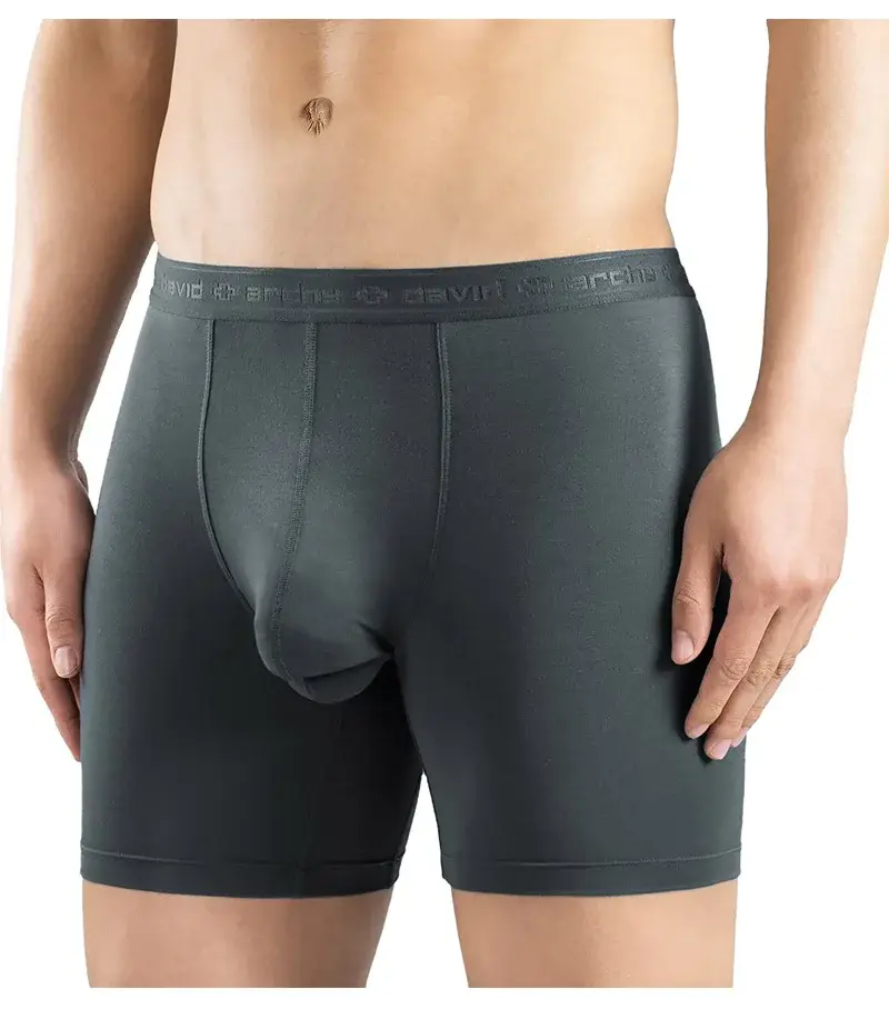 David Archy 3 Pack Mens Underwear Boxer Briefs Basic MicroModal Soft Breathable Mens Dual Pouch Boxers Quick Dry Sports Fitness