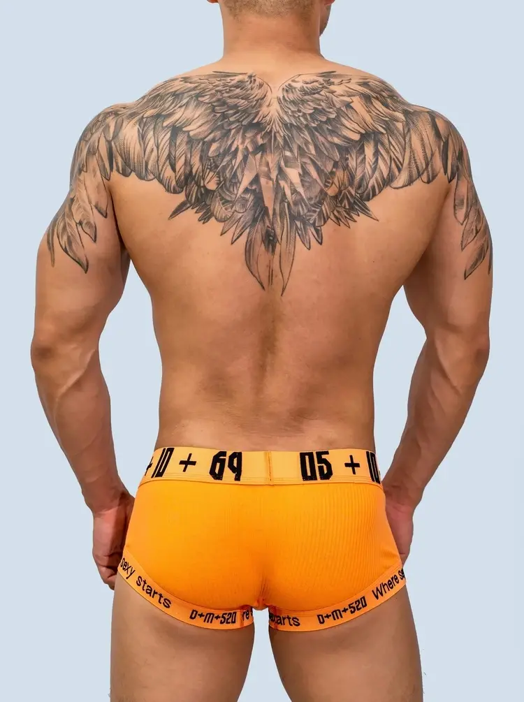 Male Underwear Gay Underpants Boxer Ropa Interior Hombre Cueca Masculina Solid Boxer Homme Underwear Boxer Para Hombre Bielizna