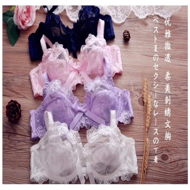 Ultra Thin Lingerie Set European Lace Bra for Big Boobs Sexy Push Up & Gather Sheer Transparent Large Cup Support BANERDANNI