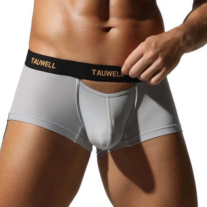 Men's Underwear Comfortable Cool Thin Sexy Semi-Transparent Flat Angle Pants with U-Shaped Pouch Briefs