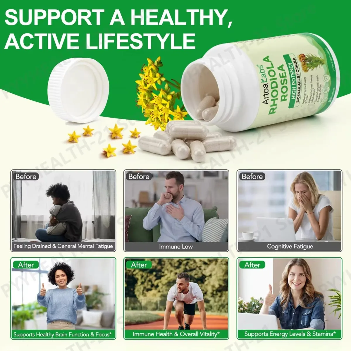 ArtoaLabs Rhodiola Rosea 500mg Capsules High Potency Supports Mental Clarity Focus Natural Energy Endurance 120 Vegan Capsules