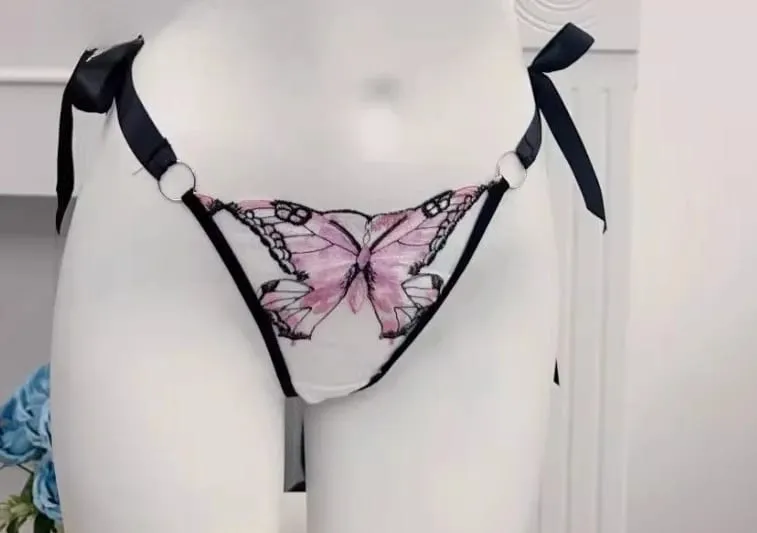 Butterfly Embroidery French Lace Bra Sheer Net Elastic Straps No Padding Romantic Womens Lingerie Set S-XL Soft Comfy