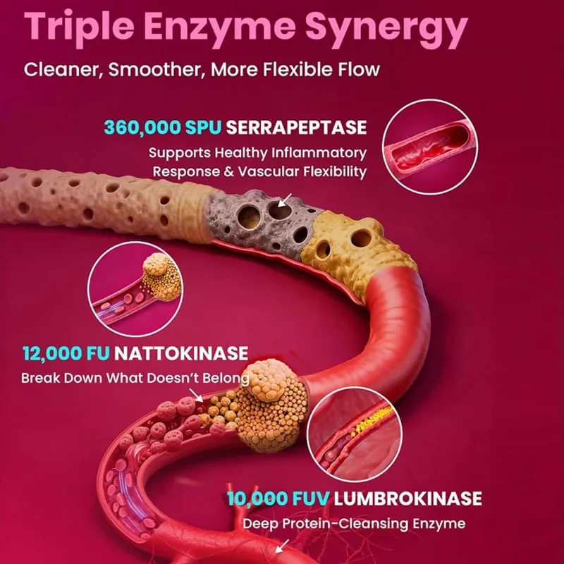 Nattokinase Supplement Supports Blood Flow Heart Health & Healthy Circulation Digestive Aid Boosts Cellular Energy