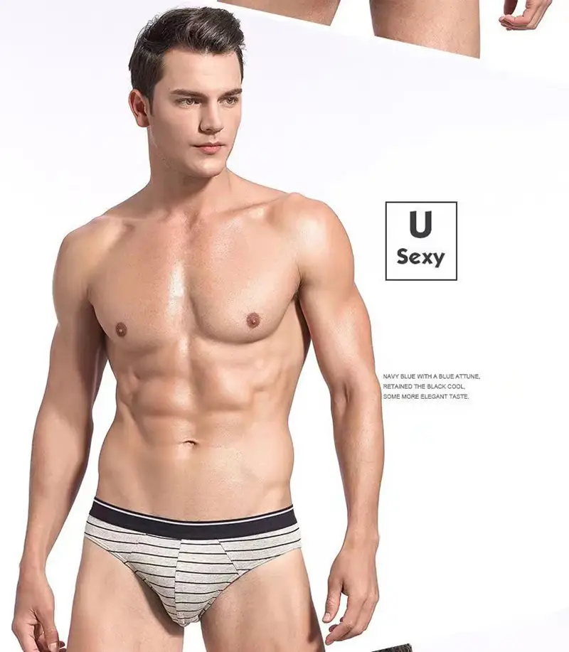 4 pçs/lote cuecas masculinas lingerie sexy calcinha masculina de algodão respirável cueca listrado calcinha lotes por atacado