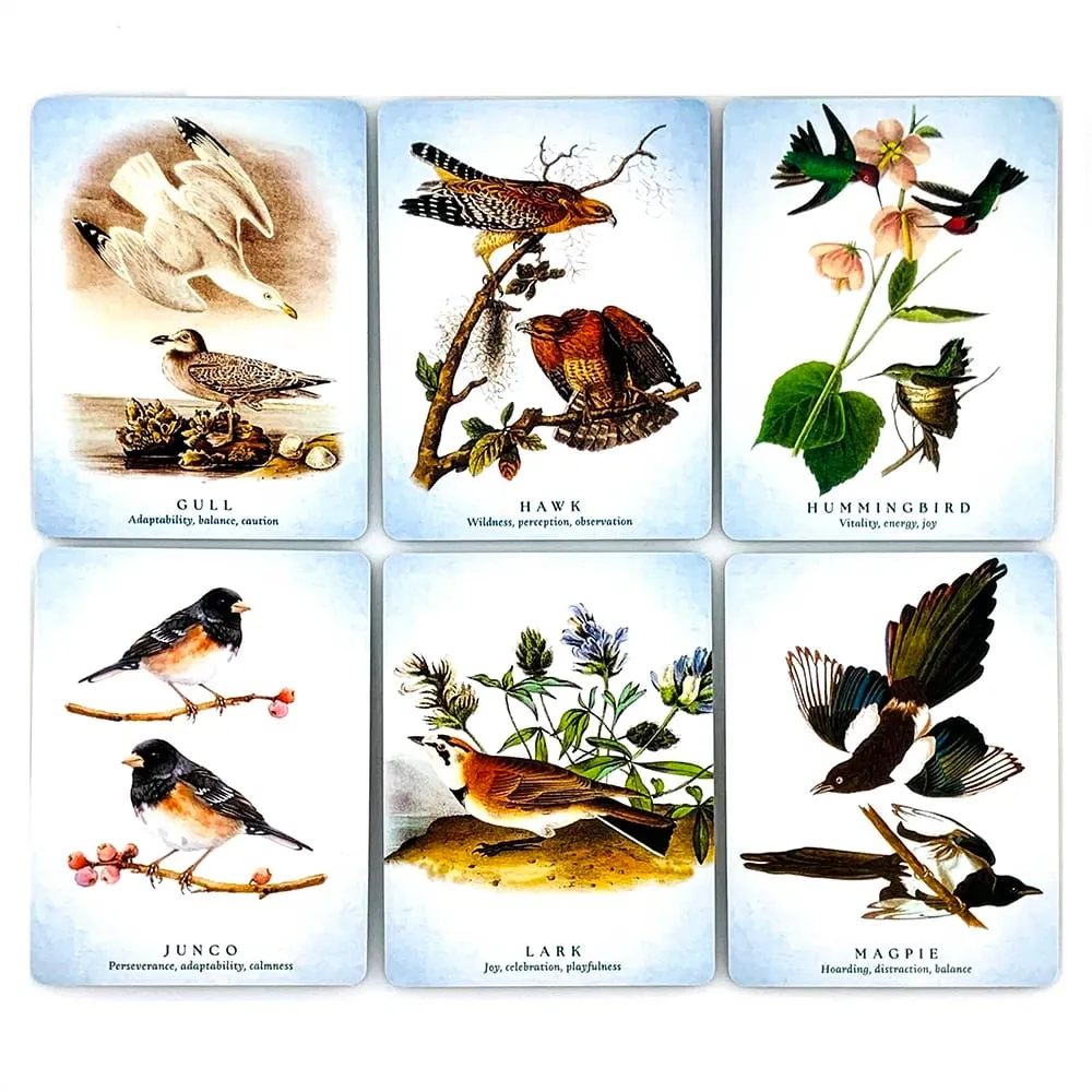 New The Spiritual Meaning Of Oracle Cards 10.2*7.4CM 50pcs Cards Discover The Wisdom & Insigt Of These Divine Winged Messengers