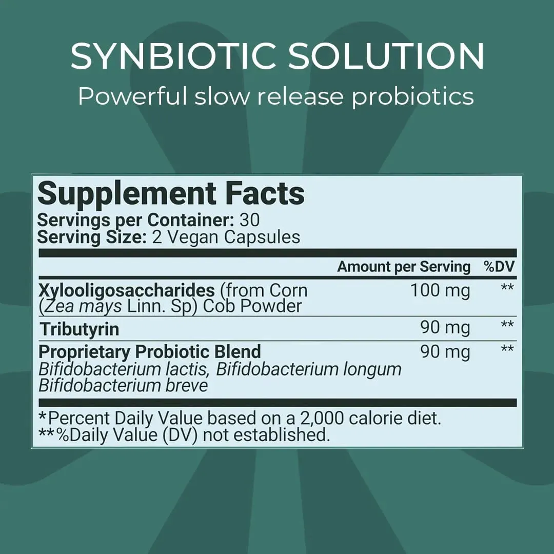 Digestive Health Probiotic Gut Support for Men & Women with Xylooligosaccharides Tributyrin & Bifidobacterium - 60 Capsules