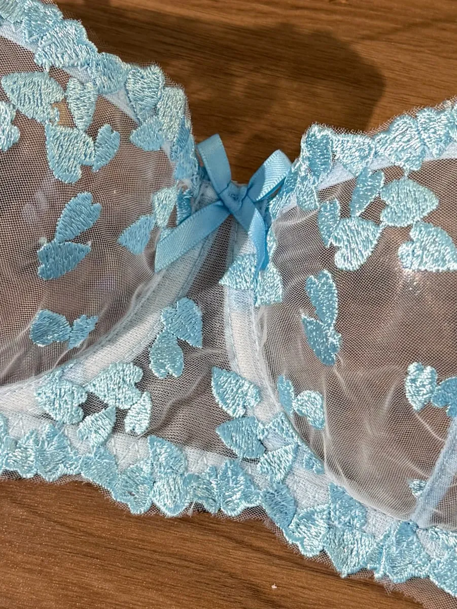 French Romantic Dreamy Light Blue Heart Embroidery Lace Underwear Set with Transparent Mesh Butterfly Knot Shoulder Strap Design