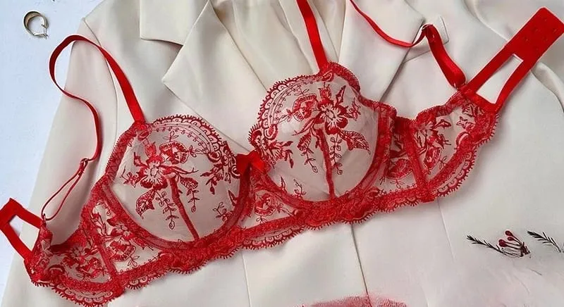 Lace Embroidery Ultra Thin Cup Bra Set Sheer Mesh Sleepwear for Big Bust Women S-XL Push Up Hot Sale 2026 32-38 S-XL Bra Set