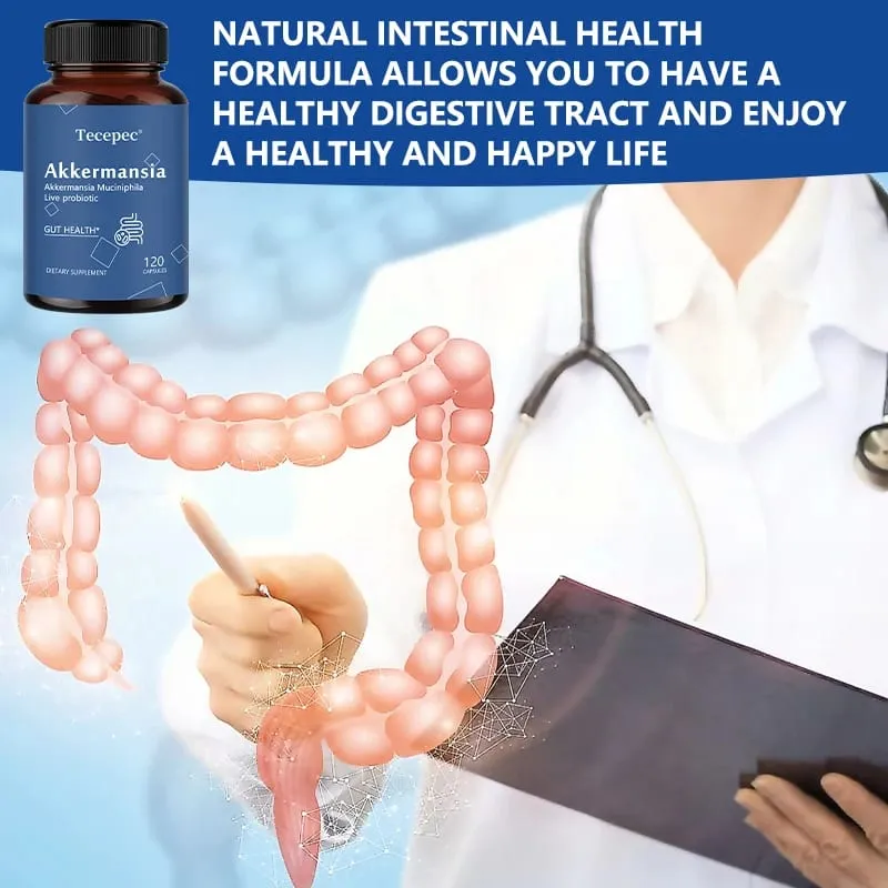 Akkermansia Probiotic Gut Health Support Supplement | Contains Akkermansia Muciniphila – Enhances Nutrient Absorption
