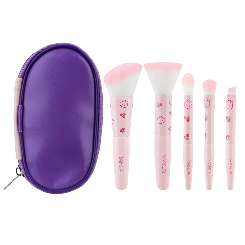 5Pcs 귀여운 컴팩트 메이크업 브러쉬 세트 케이스 프리미엄 브러쉬 완벽한 파운데이션 블러쉬 아이 섀도우 애플리케이션 미용 도구