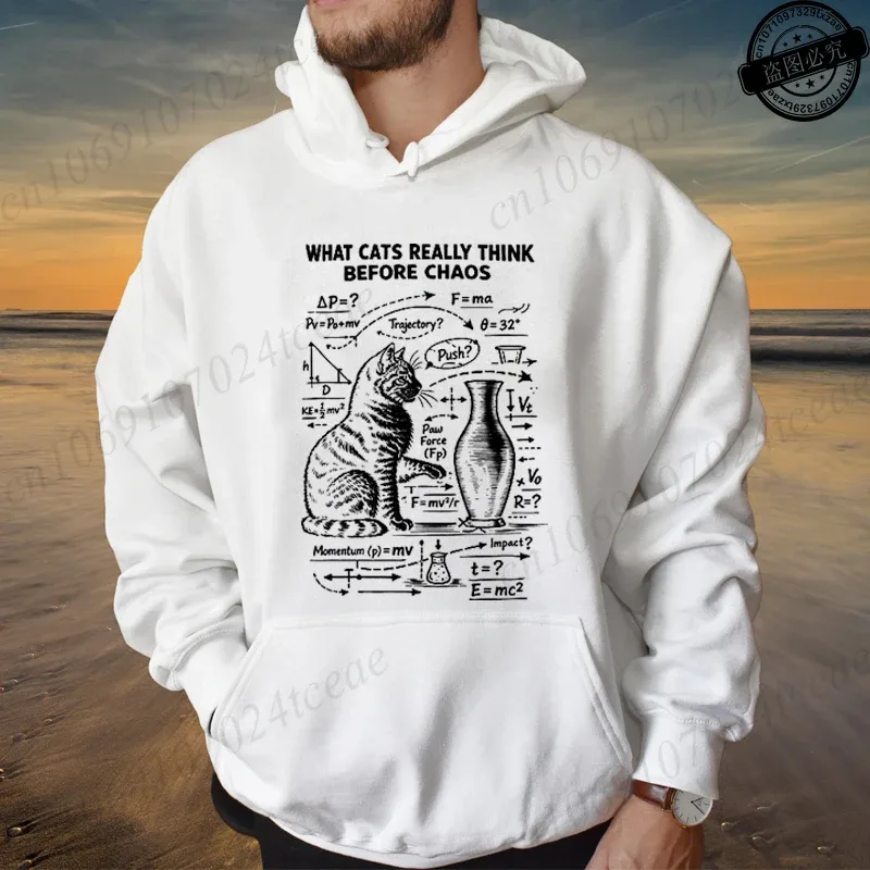 Funny Cat Physics Design Hoodies Math Science Humor Cat Print Sweatshirt Personalized Men Women Casual Streetwear Fashion Hoodie