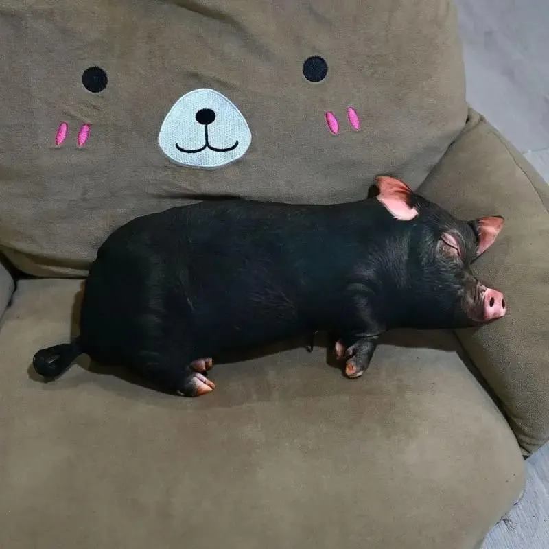 3D Pig Stuffed Throw Pillow Soft Washable Skin-Friendly Fabric Plush Cushion for Sofa Bedroom Car Rest
