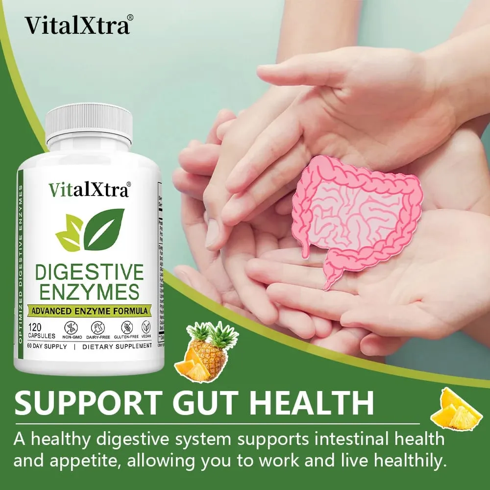 Digestive Enzymes Capsules - Most Essential Digestive Enzymes (Amylase Lipase Bromelain Lactase Cellulase Invertase)
