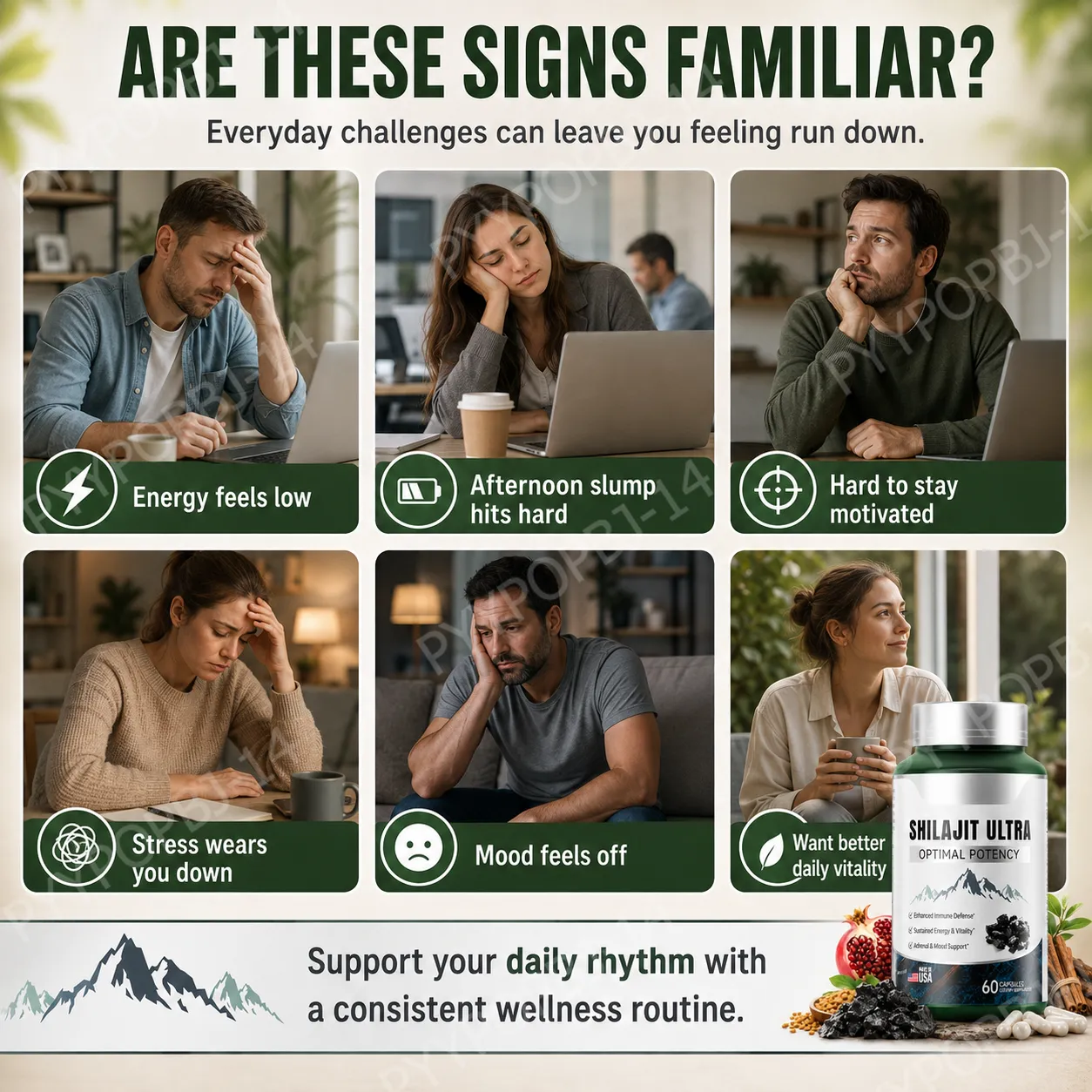 Suplemen Mineral Alami Shilajit Herbal dengan Asam Fulvat 60 Kapsul Formula Keseimbangan Vitalitas Kesehatan Harian untuk Kesehatan Pria
