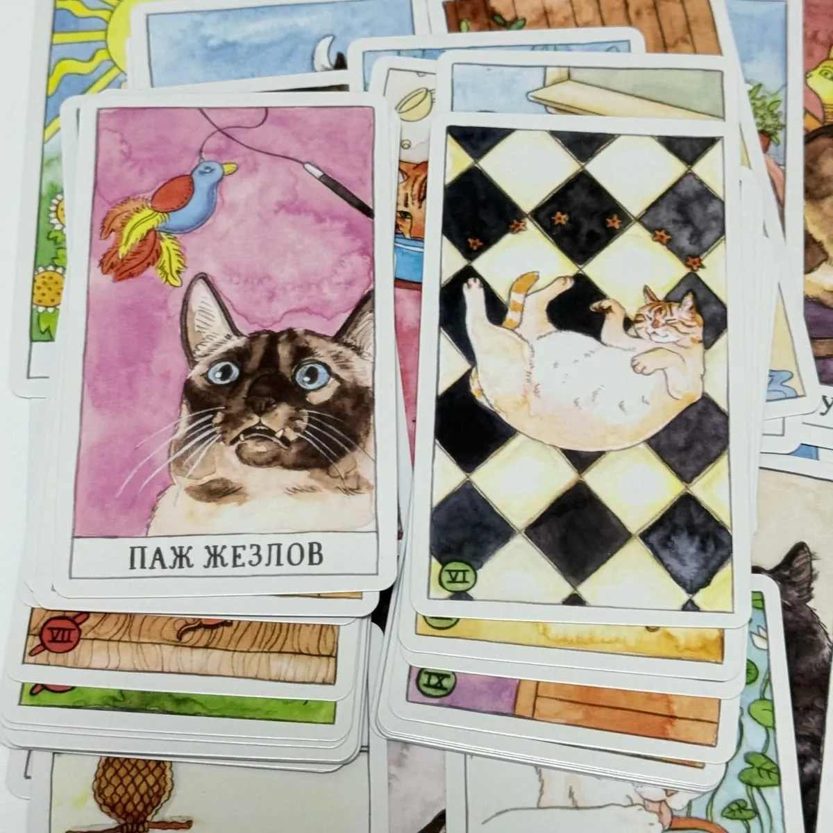 78Pcs Cat Tarot Deck Cute Kitten Series Russian Version Board Games Divination Tarot Cards