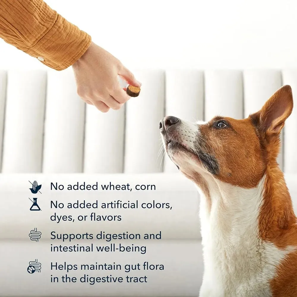 Probiotics Chews for Dogs Support Gut Health Occasional Diarrhea Digestive Health & Seasonal Allergies - 30 Soft Chews