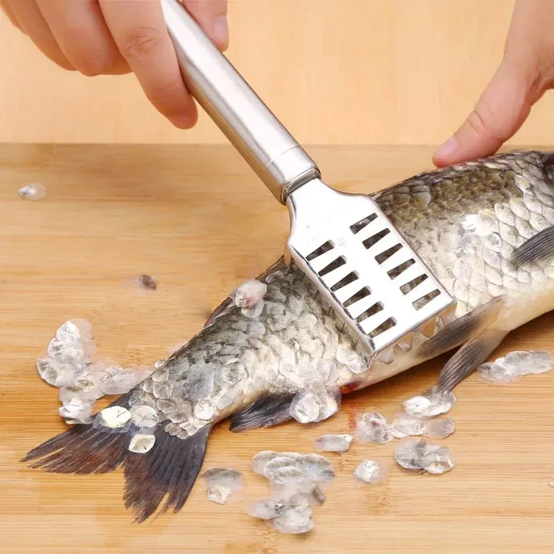 Fish Scale Removal Essential! Stainless Steel Round Tube Fish Scraper Fast No Splatter Effortless Kitchen Fish Tool