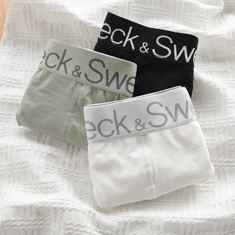 Sous-vêtements triangulaires pour hommes, pantalons de sport en pur coton, amples et respirants, à larges bords, pour jeunes