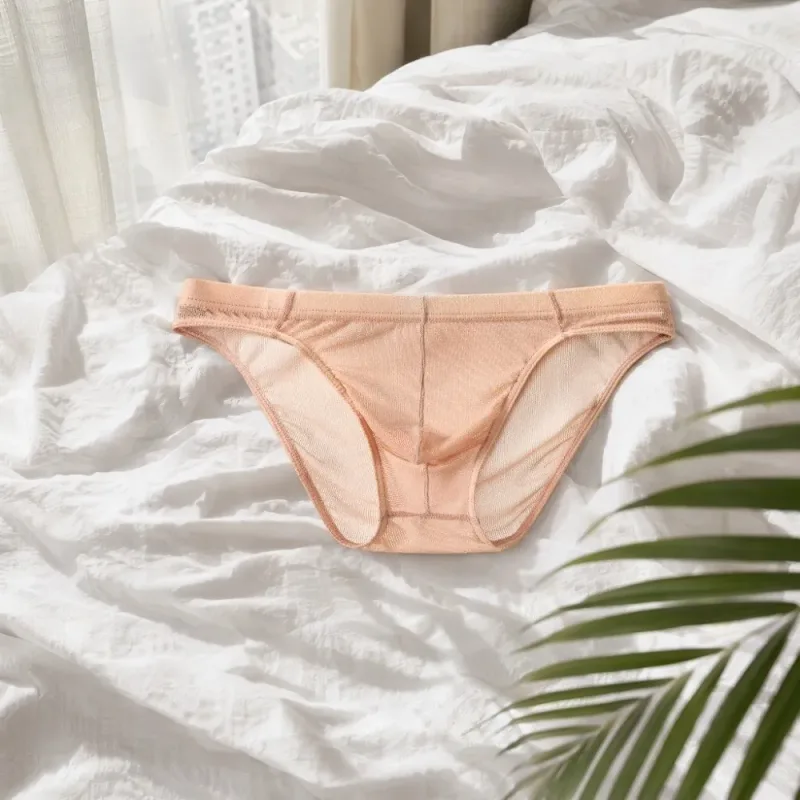 Lingerie Men Mesh Triangle Panties Low Waist Breathable Men Thin Briefs Transparent Thin Soft Underwear for Men Daily Wear