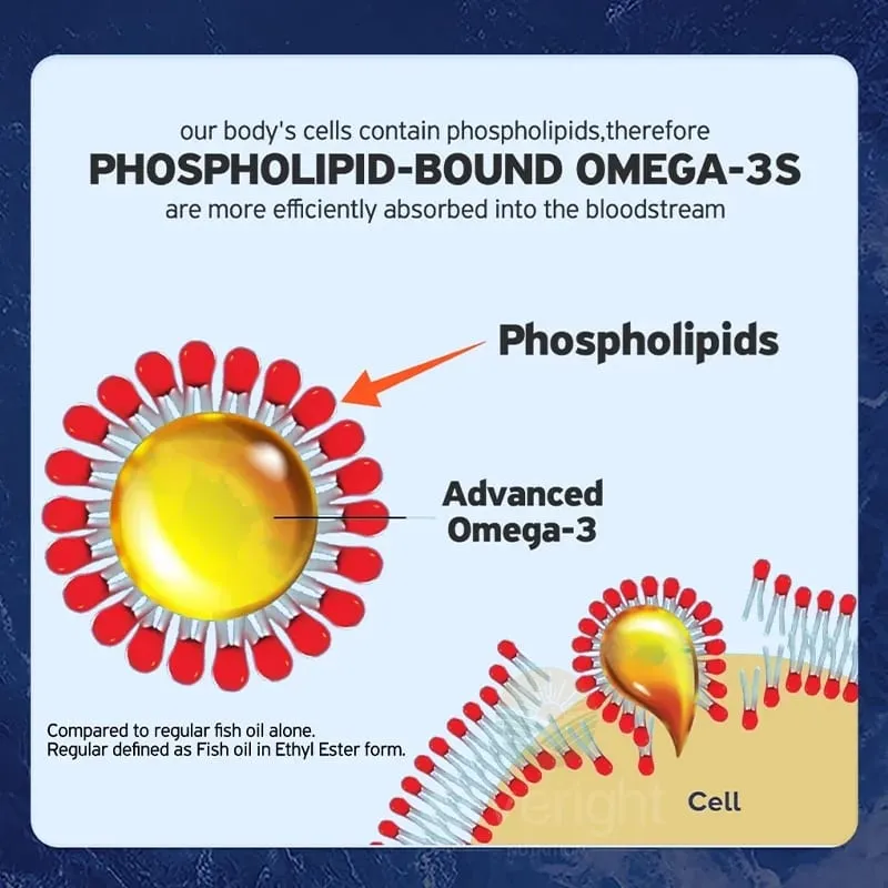 Krill Oil - Phospholipid Omega-3 Complex with Astaxanthin - Support Lipid Management Metabolism Brain & Heart Health - EPA DHA