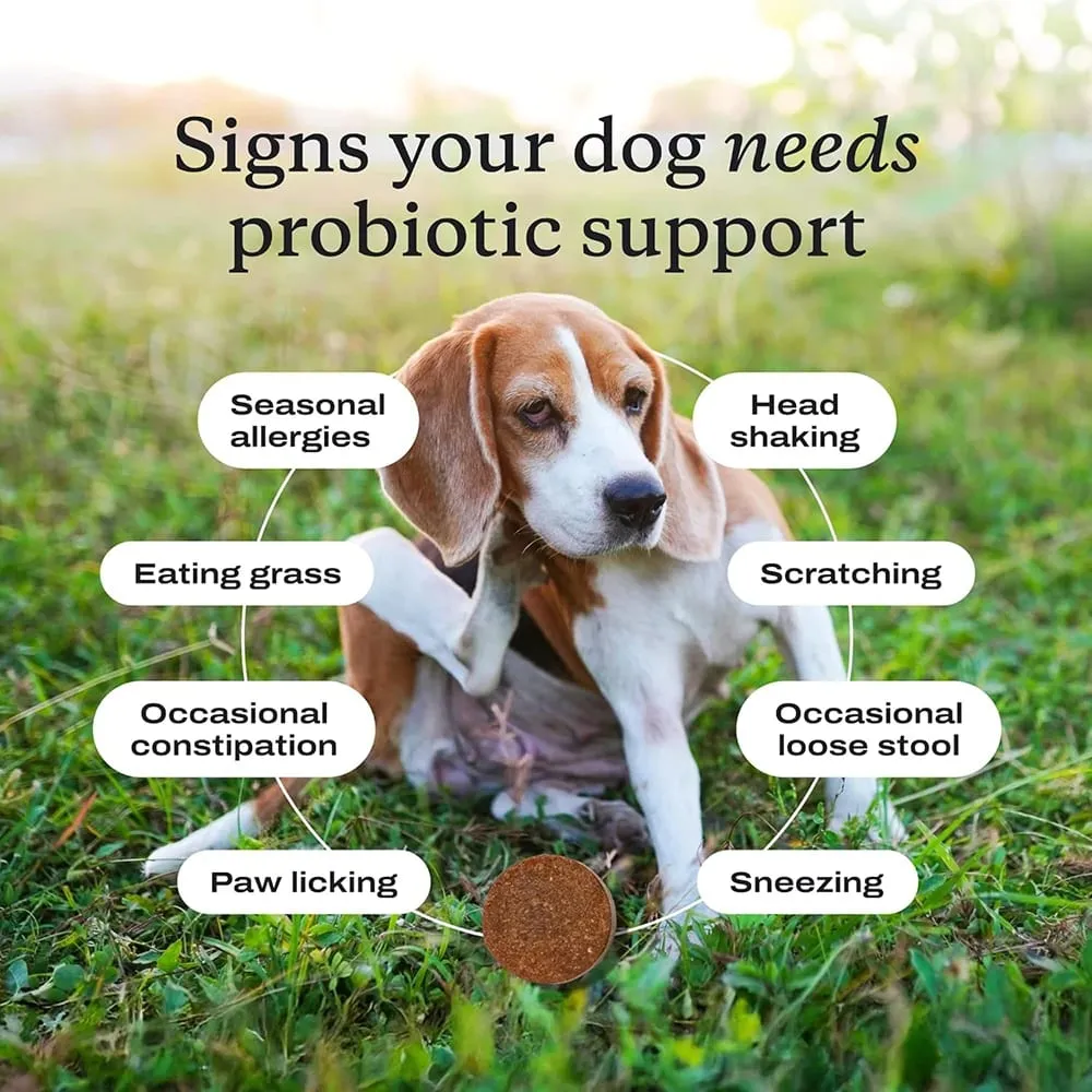 Probiotics Chew for Dogs 12 Weeks+ Support Gut Health Occasional Diarrhea Digestive Health & Seasonal Allergies - Beef Flavor
