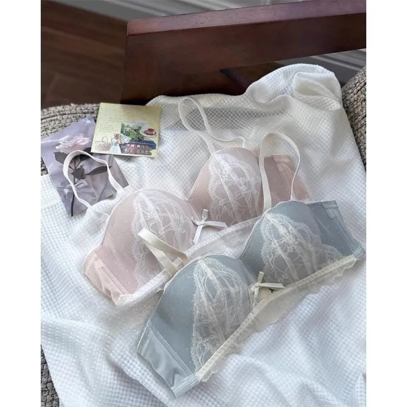 Victorian Inspired Demi Bra & Knicker Set | Sheer Mesh Lace Push Up for Small Bust Anti-Sagging | Luxury Lingerie MOYISU Panty