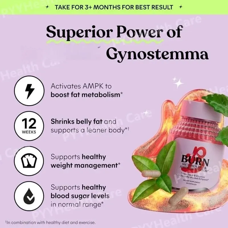 Belly Fat Burning Metabolism AMPK Activating Supplement for Men Women Actiponin Gynostemma Vitamins B6 B12 60 Capsules