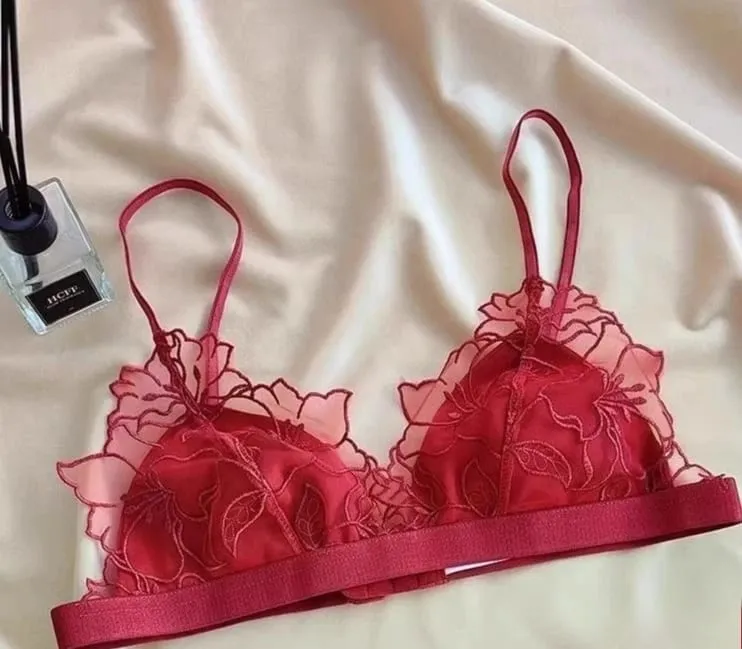 Sexy French Lace Bralette & Underwear Set Lightweight Wireless Triangle Cup Bra for Women Pure Elegant Small Boobs S-XL MOYISU