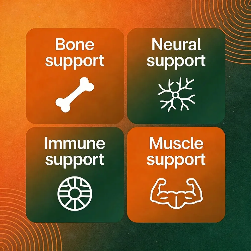 Calcium + Magnesium + Zinc + Vitamin D3 Capsules - Supports Bone and Nervous System Health and Improves Mood