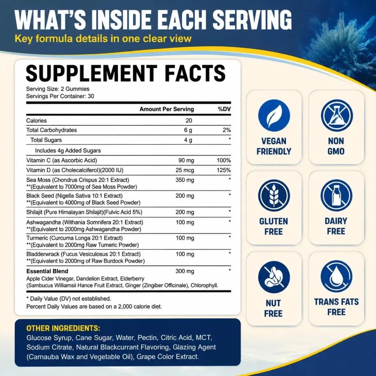 HalmanLabs Sea Moss Black Seed Oil Gummies with Vitamin C and Vitamin D for Immune Health and Vital Mineral Support 60 Gummies