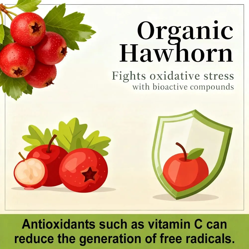 Organic Hawthorn Berry Capsules - Heart Health - Extra Strength 980mg Per Serving Vegan Non-GMO