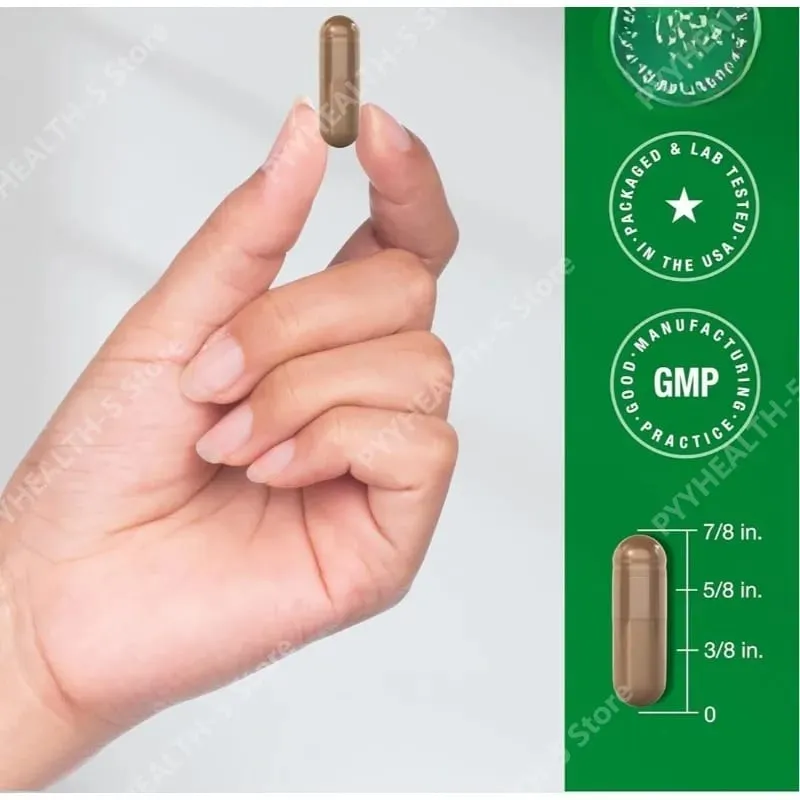 Reishi Mushroom Capsules | 200 Count | Non-GMO and Gluten Free Extract Supplement