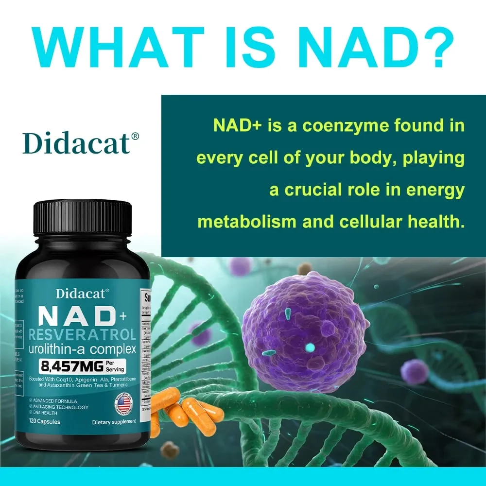 NAD + Resveratrol - Anti-aging Helps Boost Energy Promotes Cell and Skin Health Neuroprotection and Sleep Improvement