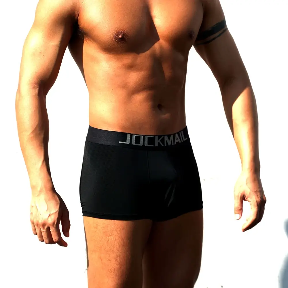 Sexy Men Underwear Boxer Shorts Transparent Mesh Underpants Trunks Men Panties Low Waist Nylon Breathable Quick Drying