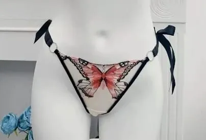 French Luxury Embroidery Sheer Lace Lingerie Set Lift Thin Cup Plus Size Big Bust Minimize Soft Transparent Intimate Wear 34-40