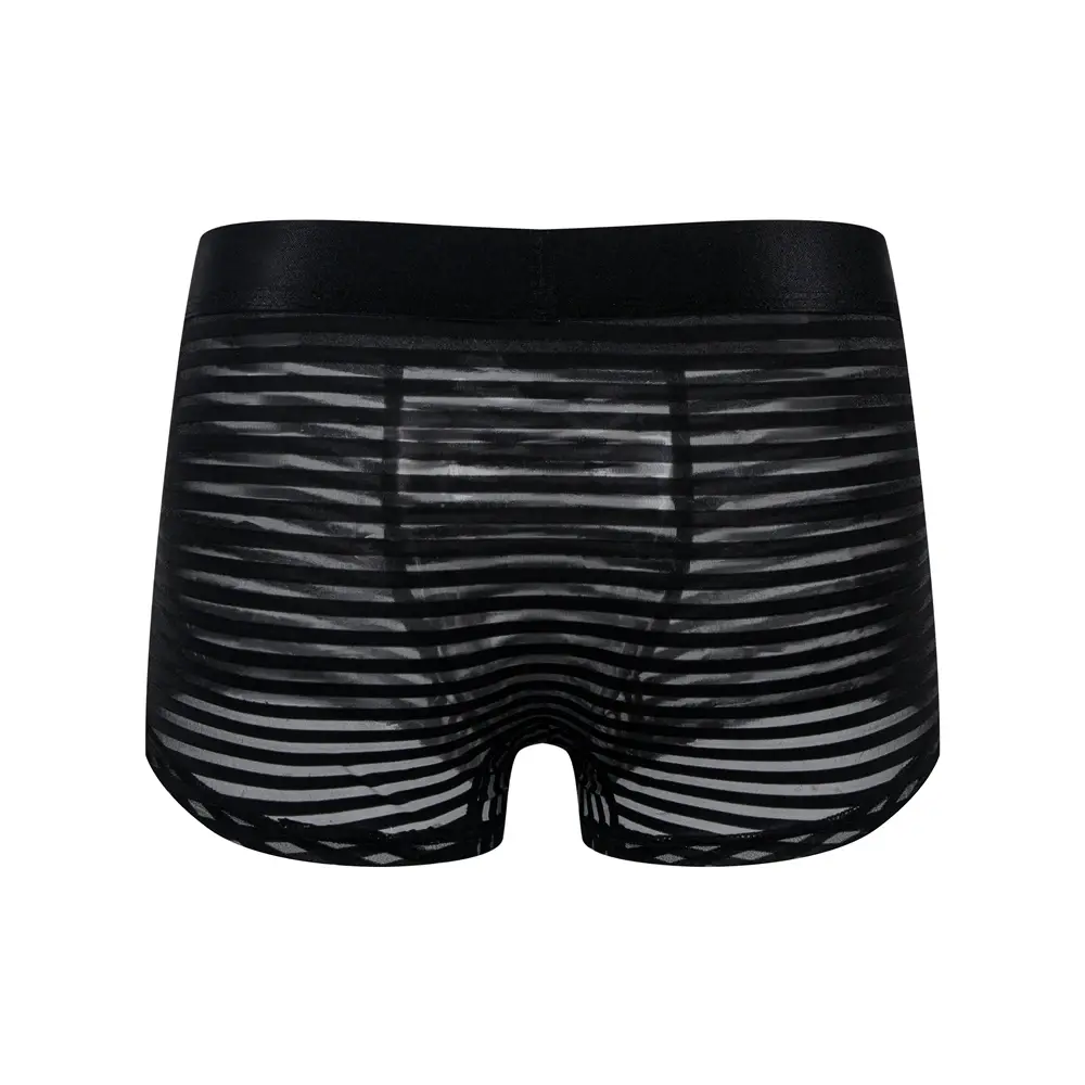Sexy Men Underwear Boxer Shorts Transparent Mesh Underpants Trunks Men Panties Low Waist Nylon Breathable Quick Drying