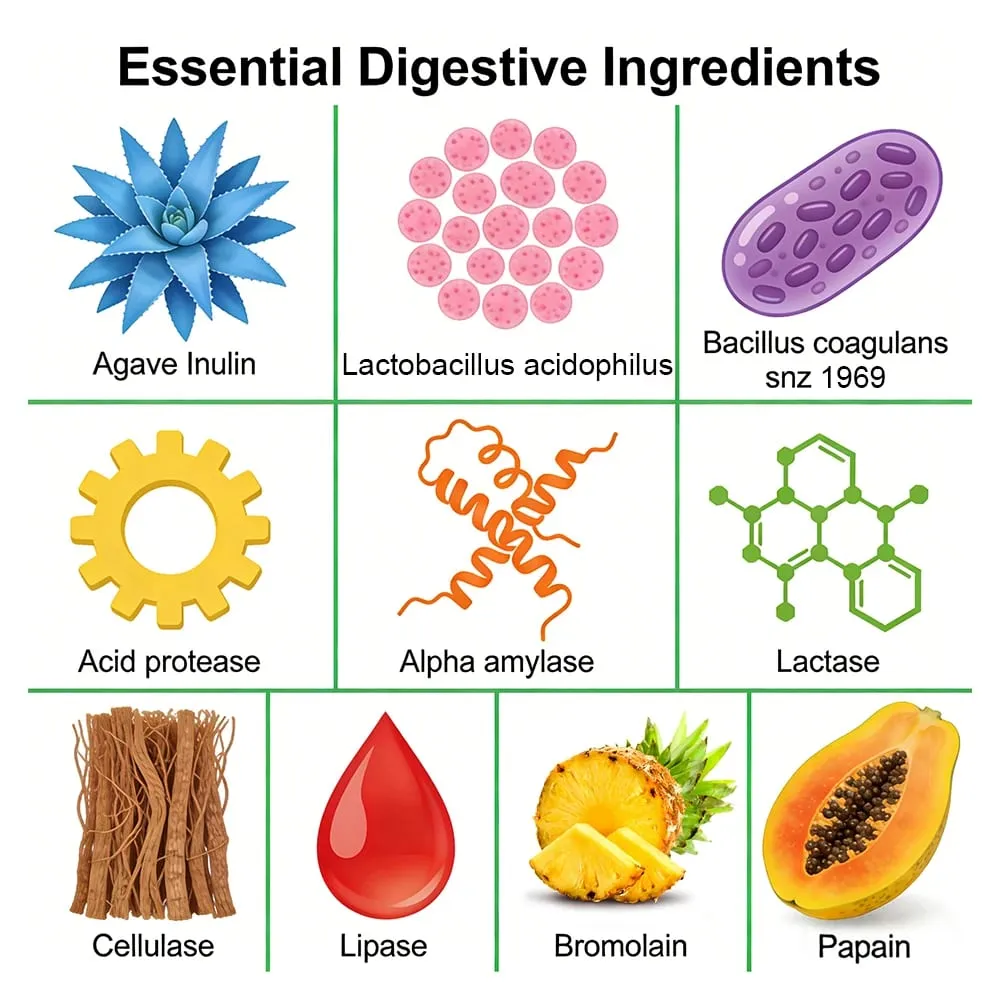 Probiotic Prebiotics & Digestive Enzymes Capsules Colon Cleanse & Detox Supports Gut Health Digestion & Balance Gut Bacteria
