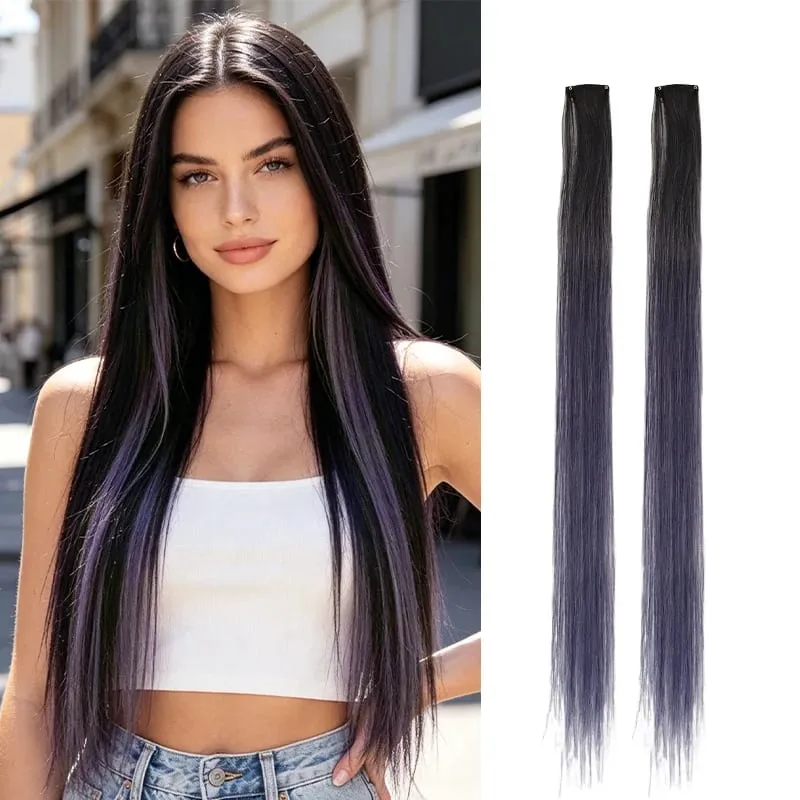 2Pcs Pack Two-Tone Ombre Highlight Clip in Wig Straight Hair Piece Synthetic Fiber Comb for Daily Party Look