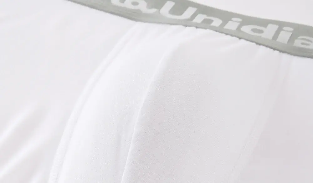 10 Pieces Bamboo Fiber Men's Underpants Solid Color Boxer Briefs Breathable Boxers Underwear Man Stretch Men Panties