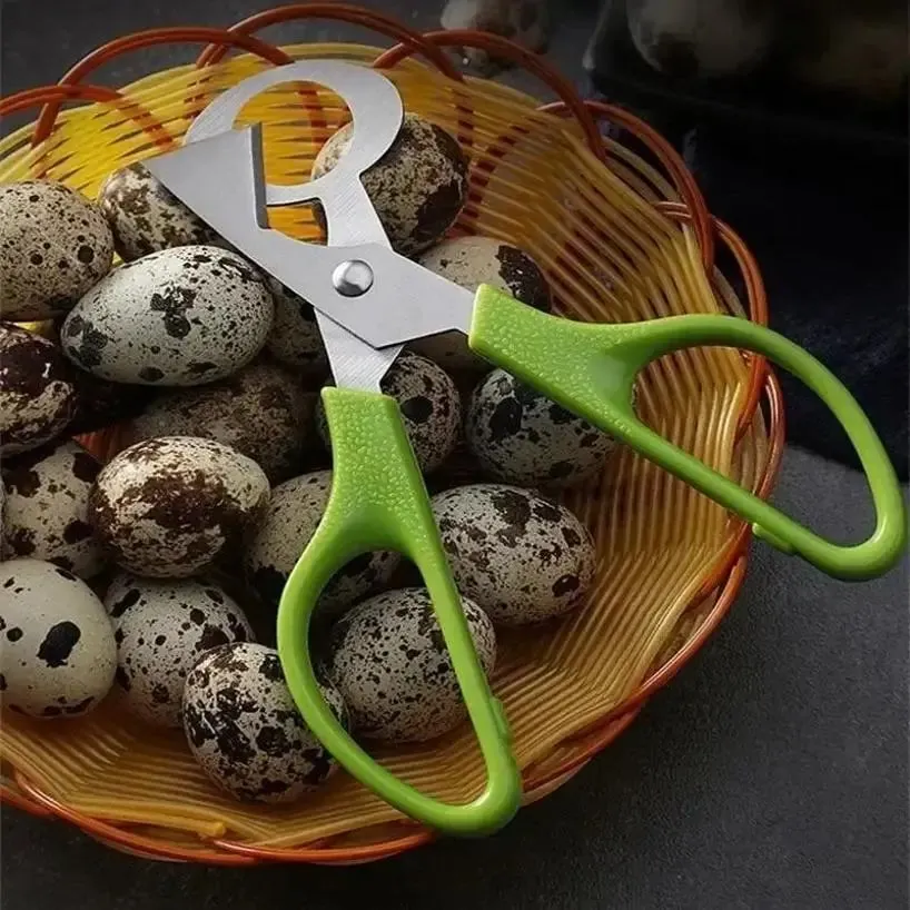 1 Pcs Kitchen Tools Quail Eggs Scissors Cutter Eggs Opener Eggs Slicer Home Tools Scissors Accessories Tools Cigar Bottle Opener — image 6