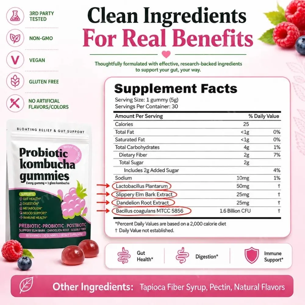 Probiotic Kombucha Gummies Berry 30 Ct Prebiotic Postbiotic Gut Health Digestion Bloating Relief Immune Vegan Non-GMO Supplement