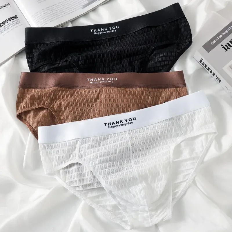 Transparent Mesh Underwear Male Ultra Thin Sheer Briefs Breathable Underpants Bulge Pouch Panties Soft Lingerie Low Rise Knicker