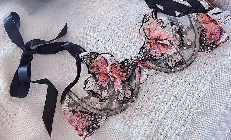 Butterfly Embroidery French Lace Bra Sheer Net Elastic Straps No Padding Romantic Womens Lingerie Set S-XL Soft Comfy
