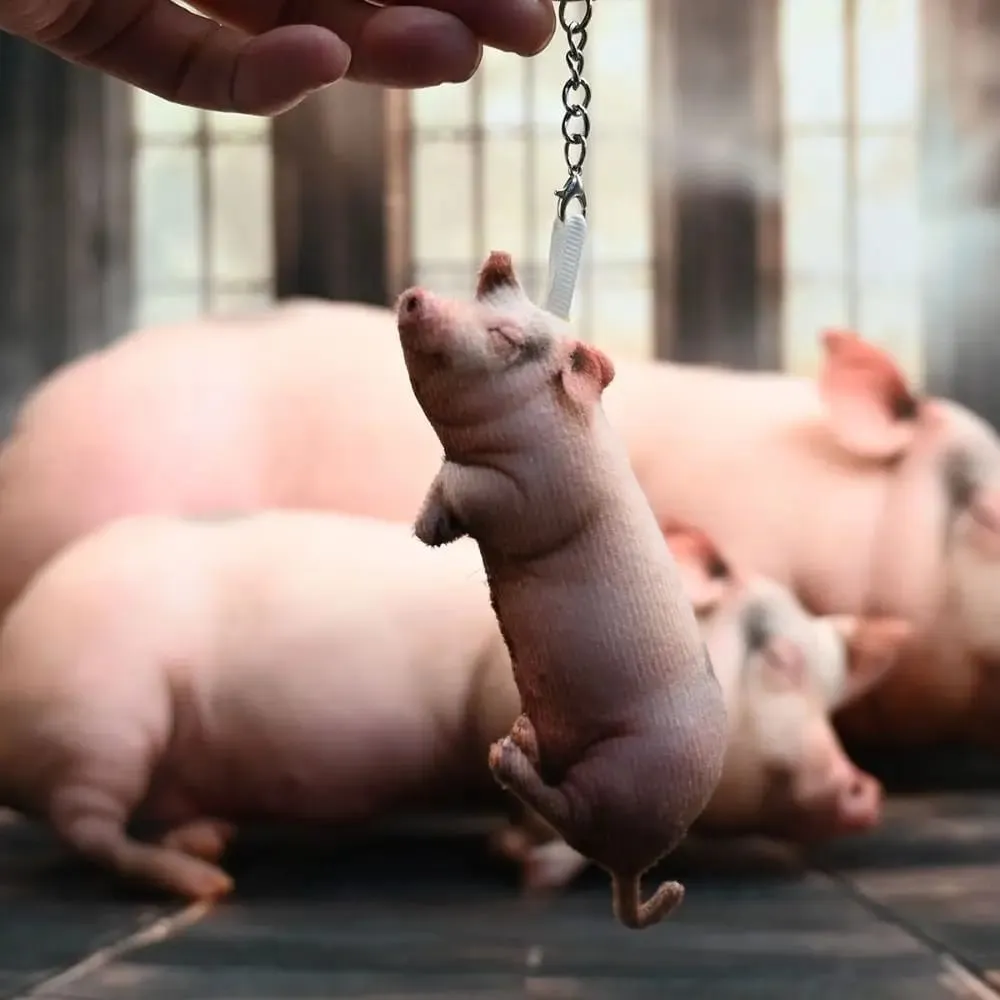 Plush Material Animal Body Pillow PP Cotton Filled 40cm Size Poultry Throw Pillows Soft Texture Cute Design — image 3